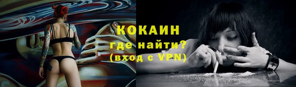 ECSTASY Алзамай