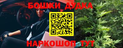 2c-b Новозыбков