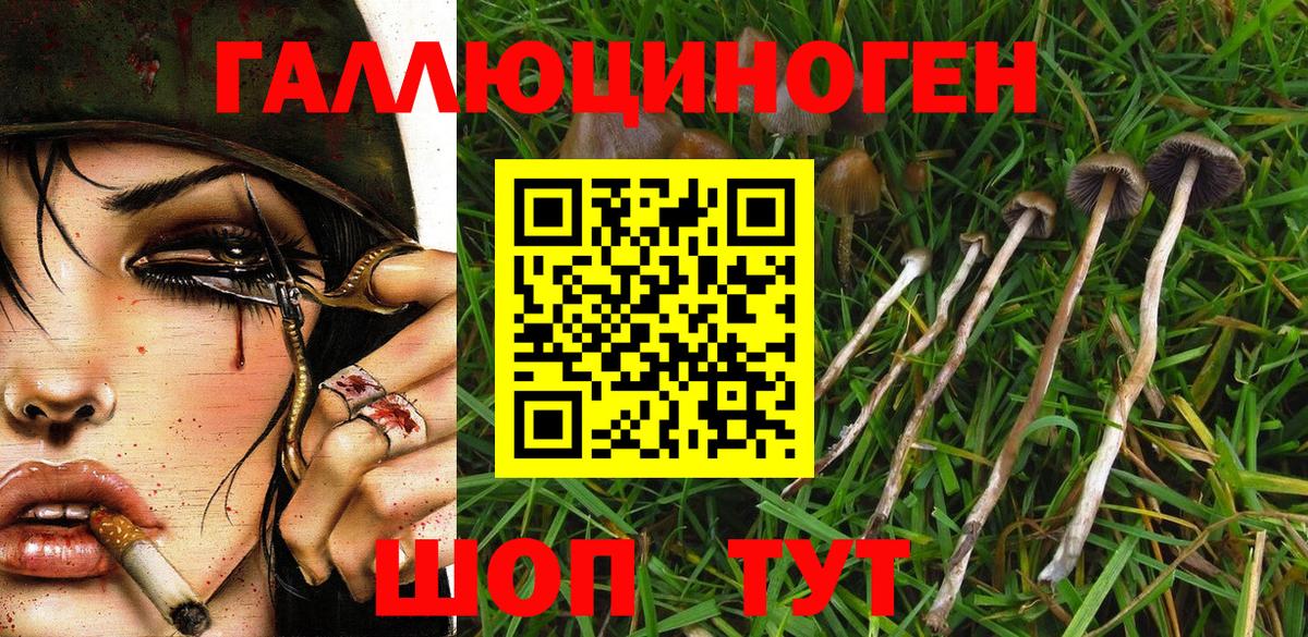 Псилоцибиновые грибы Psilocybe  Вход с VPN  Старая Купавна  даркнет сайт  Галлюциногенные грибы GOLDEN TEACHER 